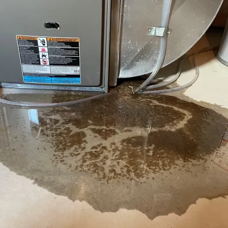 Appliance Leak Cleanup in Montebello, CA